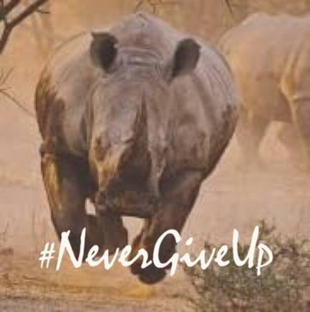 Meet your Posher, Seanacy